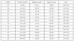 Taşlı Ritmik Cimnastik Mayo – Evrenin Gizemleri