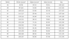 Taşlı Ritmik Cimnastik Mayo – Kristal Kuşun Baladı
