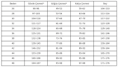 Taşlı Ritmik Cimnastik Mayo – Hazineler Kulesi