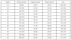 Taşlı Ritmik Cimnastik Mayo – Kelebek Kanatları Pink