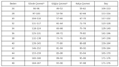 Taşlı Ritmik Cimnastik Mayo –  Zümrüt Hazineleri